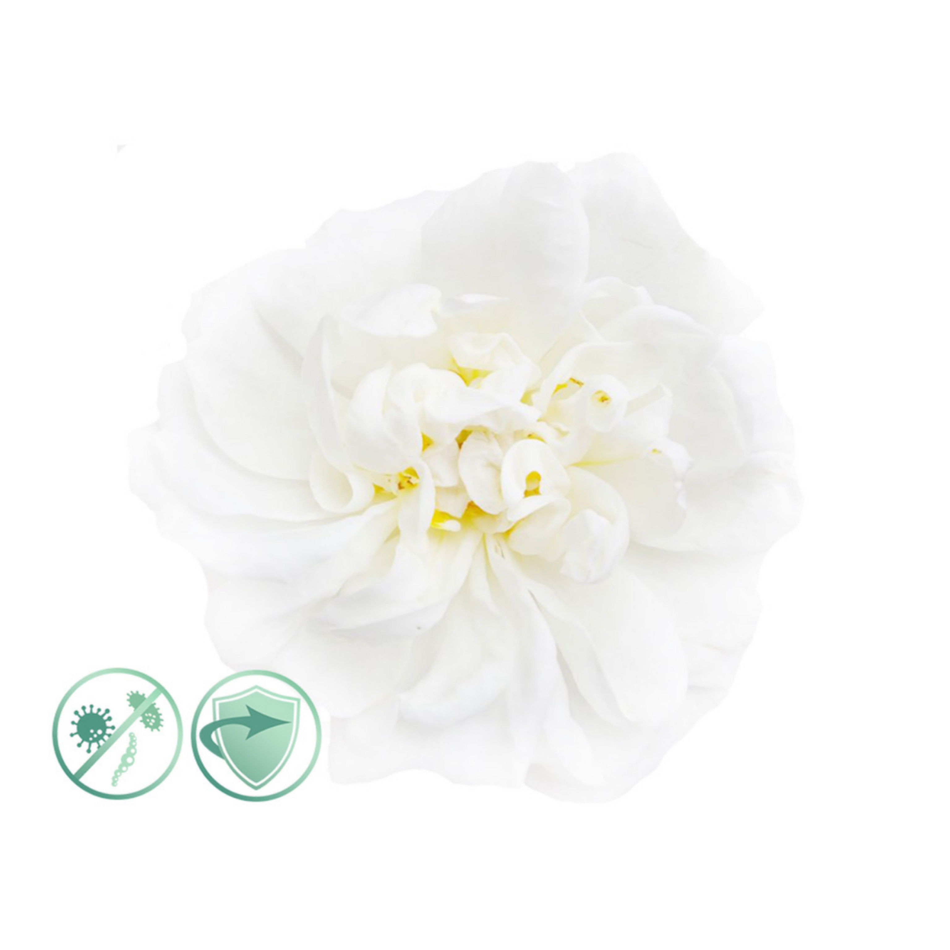 New Aroma difuzér Tower black + 200 ml White Flower – dezinfekčný aroma olej