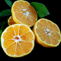 Alteya Mandarin mandarínkový olej 100% Bio 10 ml