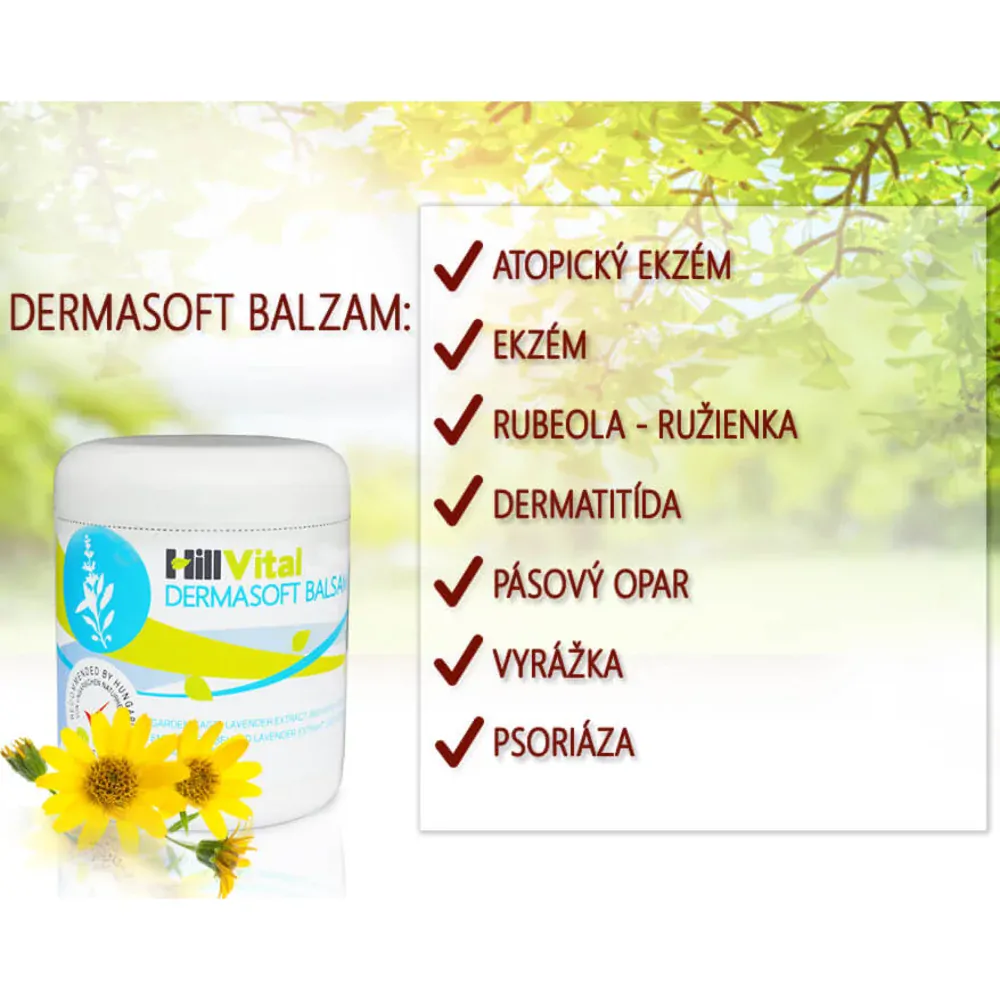 Hillvital Dermasoft balzam dvojbalenie 2x250 ml na zmiernenie ekzému