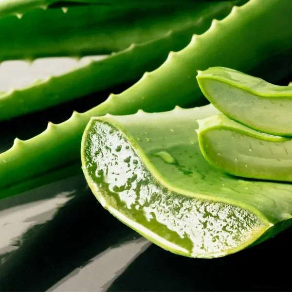 EkoMedica Aloe Vera s dužinou 99,8% šťava 500ml