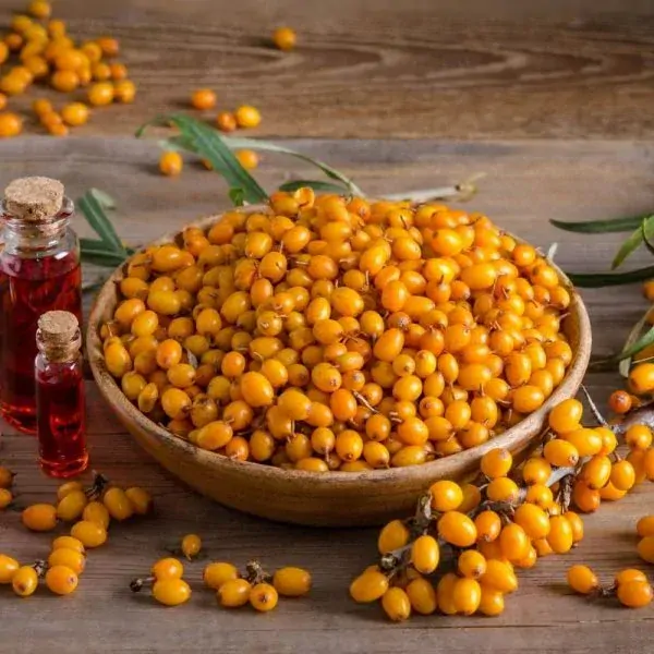 EkoMedica Rakytník 100% šťava 500 ml