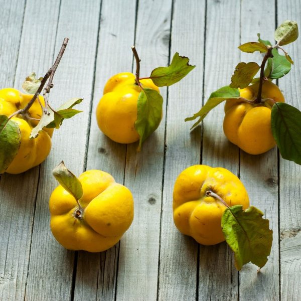 EkoMedica Dula podlhovastá 100% šťava 500ml