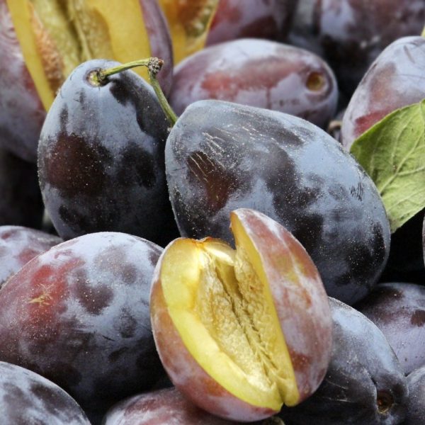 EkoMedica Slivka 100% šťava 500ml