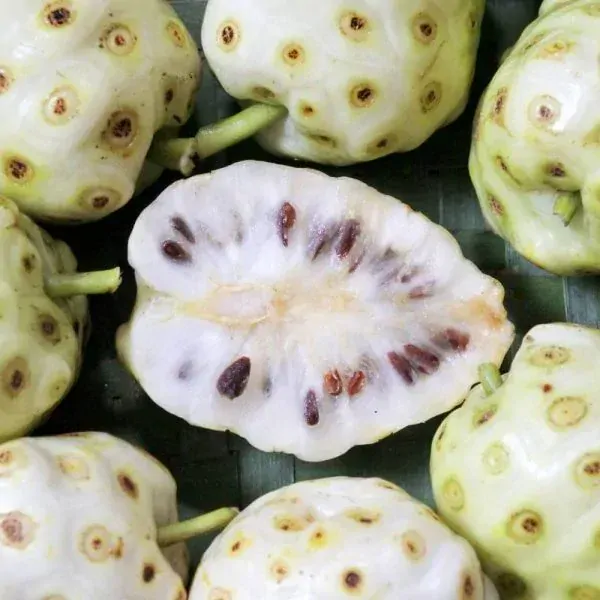 EkoMedica Noni 100% šťava 500ml