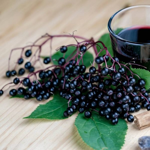 EkoMedica Čierna baza 100% šťava 500ml