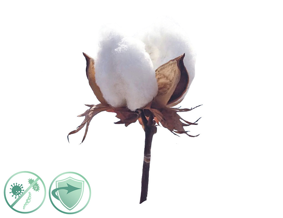 AlfaPureo Soft Cotton – dezinfekčný aroma olej