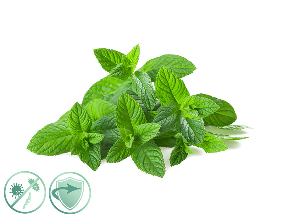 AlfaPureo Mint Fresh – dezinfekčný aroma olej