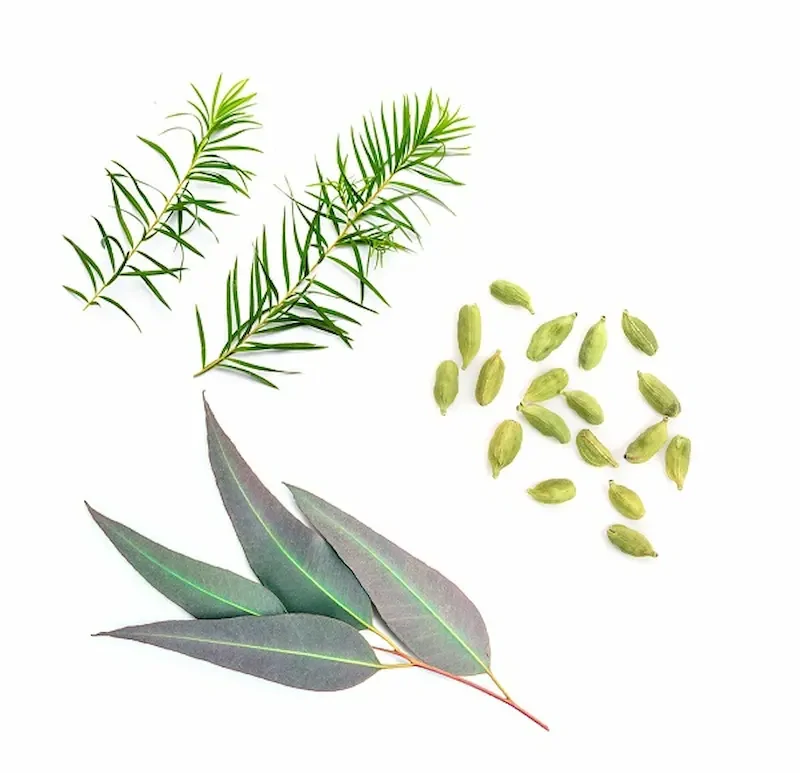 doTERRA Air – esenciálny olej 15 ml