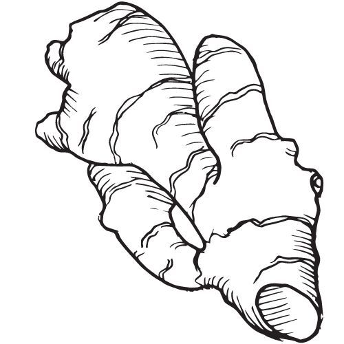 Alteya Ginger zázvorový olej 100% Bio 10 ml