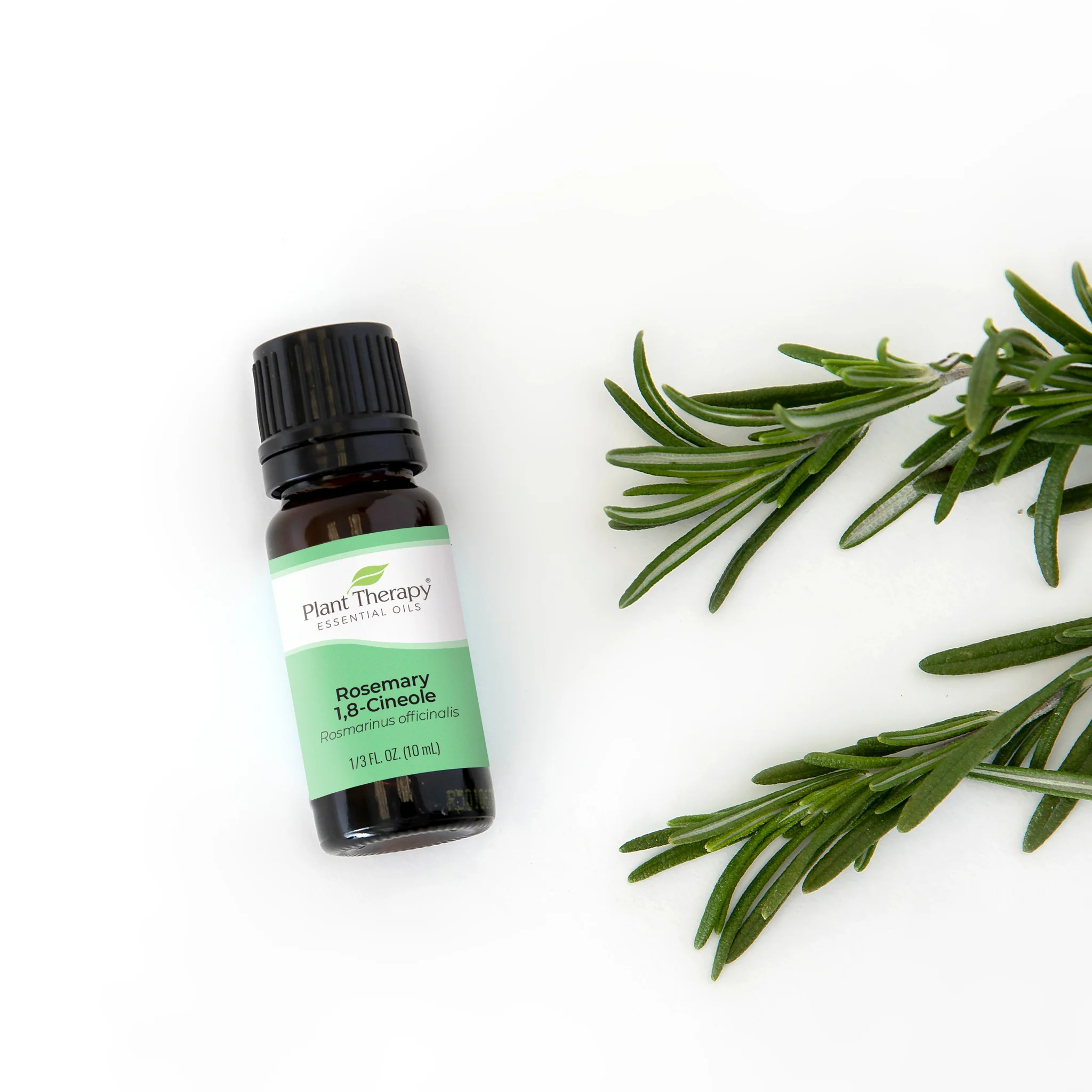 Plant Therapy Rosemary 1,8-Cineole 10 ml