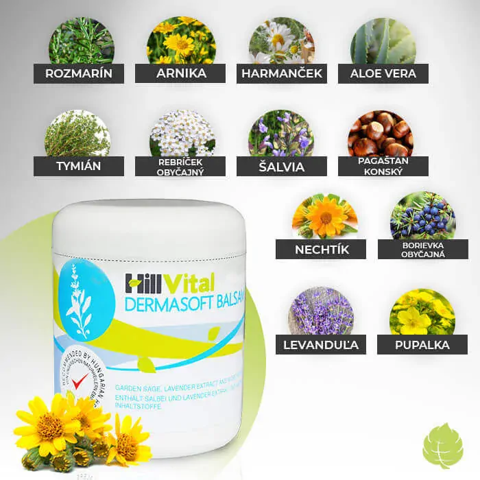 Hillvital Dermasoft balzam dvojbalenie 2x250 ml na zmiernenie ekzému