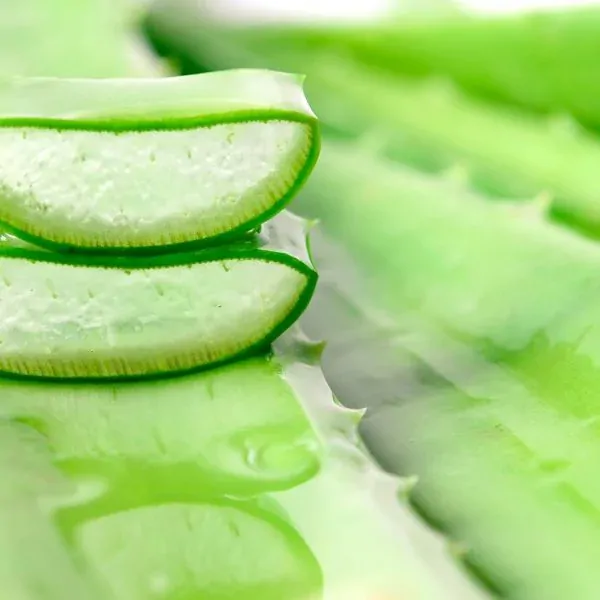 EkoMedica Aloe Vera s dužinou 99,8% šťava 500ml