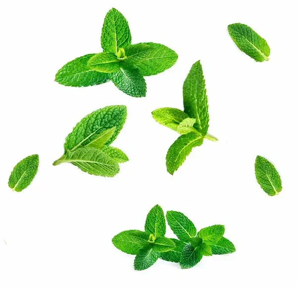 doTERRA SuperMint prírodná bieliaca zubná pasta 125 g