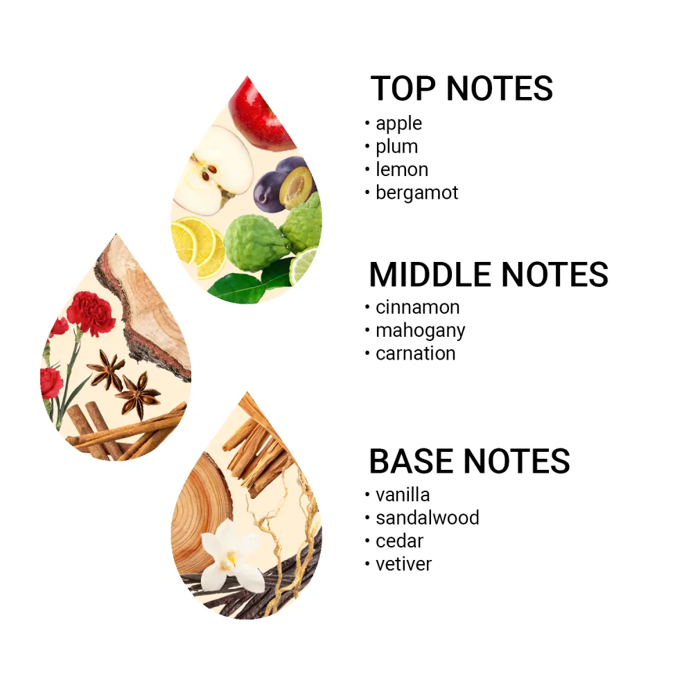 AlfaPureo Set náhradných náplní do difuzéra eDrive Silver Boss