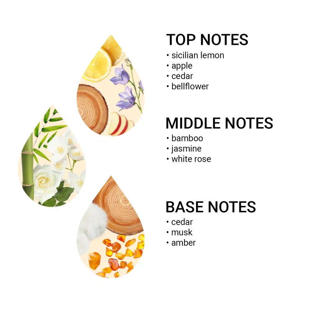 AlfaPureo Set náhradných náplní do difuzéra eDrive Light Blue