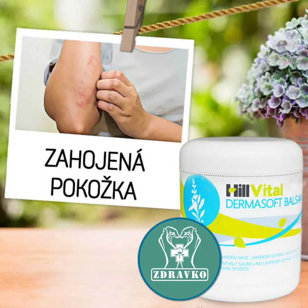Hillvital Dermasoft balzam dvojbalenie 2x250 ml na zmiernenie ekzému