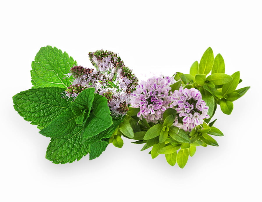 AlfaPureo difuzér Basic čierny + 200 ml Spiro Therapy s obsahom 100%-ne prírodných silíc