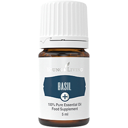 Young Living Basil+ (Bazalka) jedlý esenciálny olej 5ml