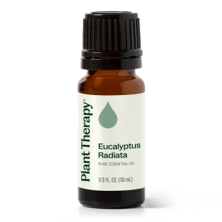 Plant Therapy Eucalyptus Radiata 10 ml